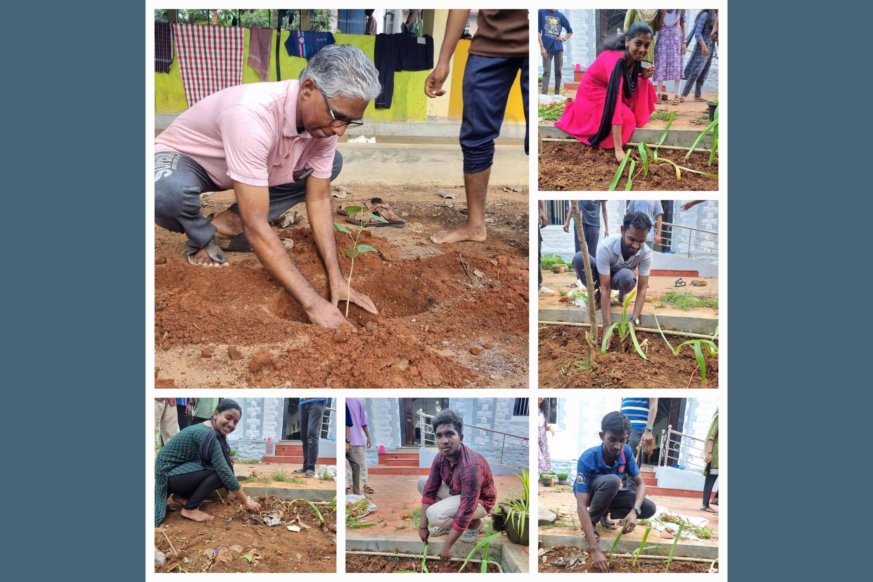 Gardening Work in Church Campus