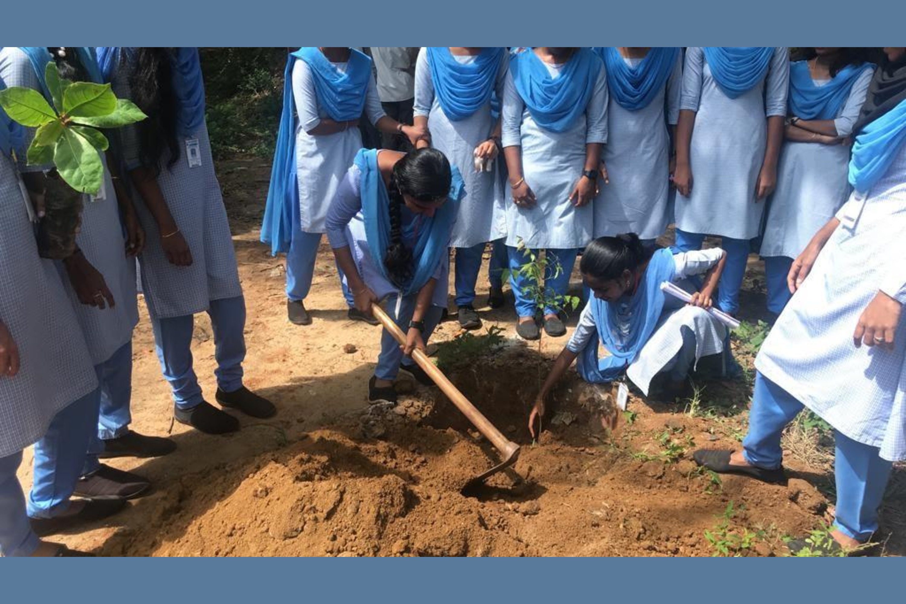 Planting Trees By NSS Volunteers
